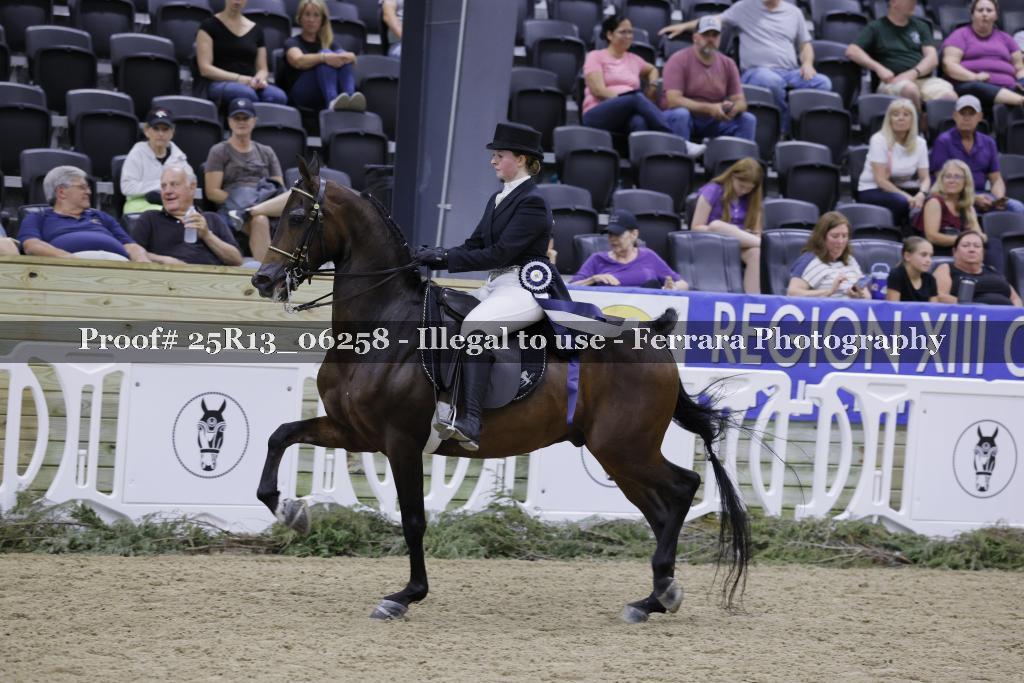 Proof Number 25R13_06258