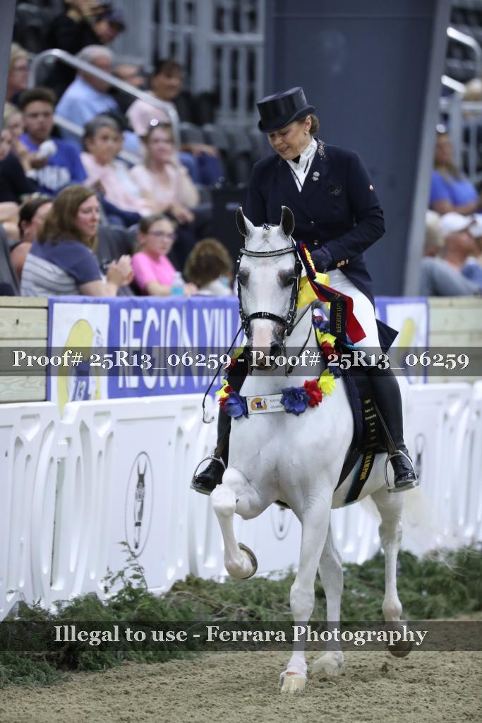 Proof Number 25R13_06259