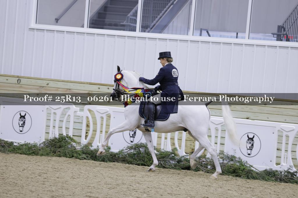 Proof Number 25R13_06261