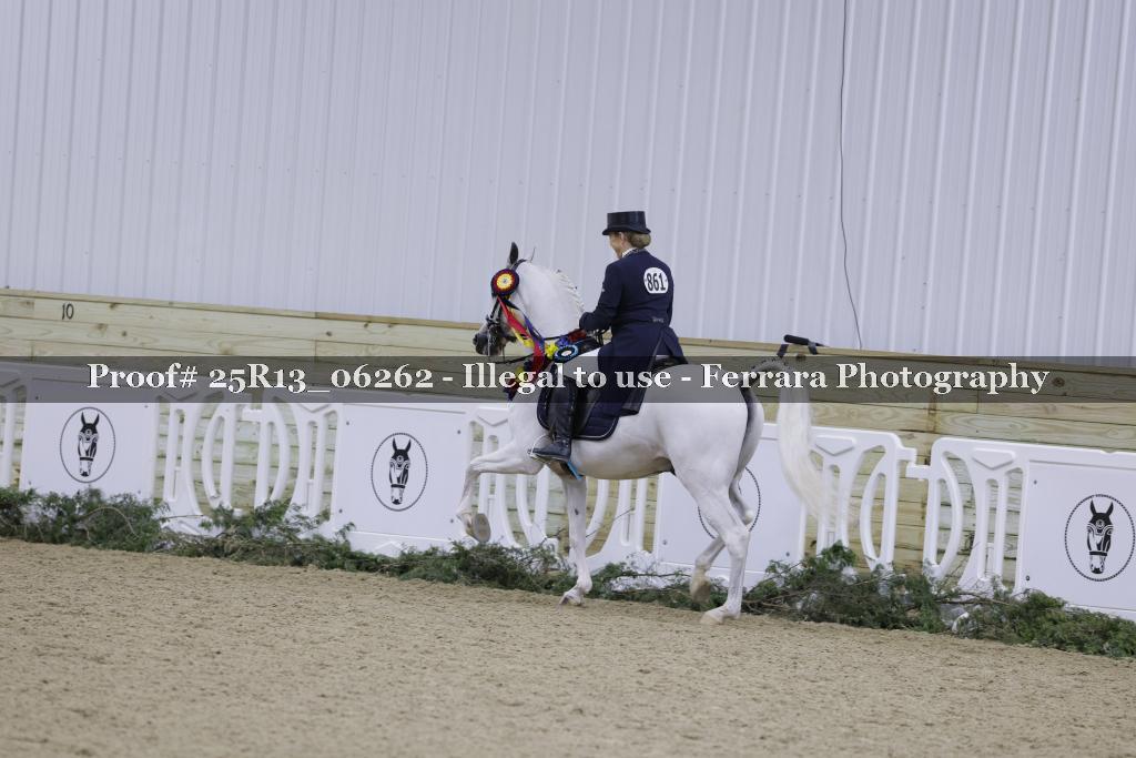 Proof Number 25R13_06262