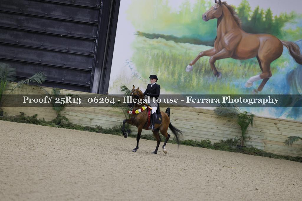 Proof Number 25R13_06264