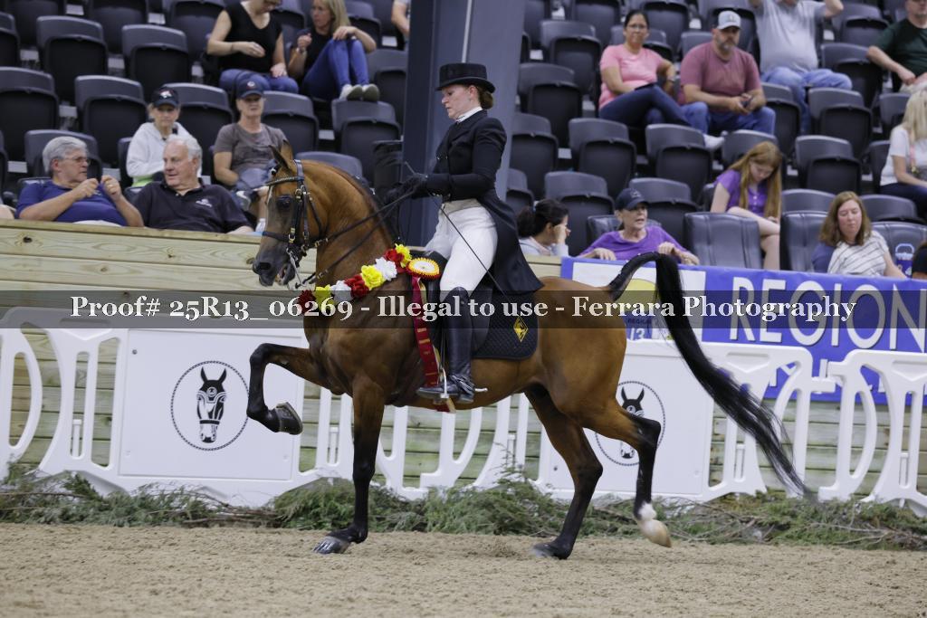 Proof Number 25R13_06269