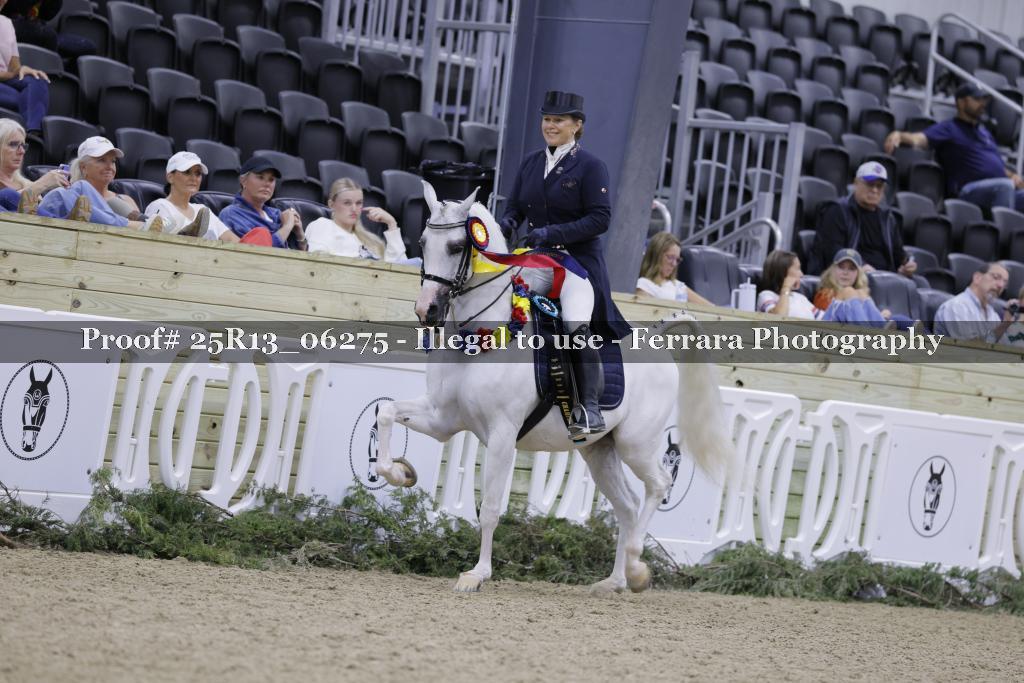 Proof Number 25R13_06275