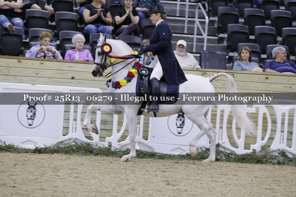 Proof Number 25R13_06279