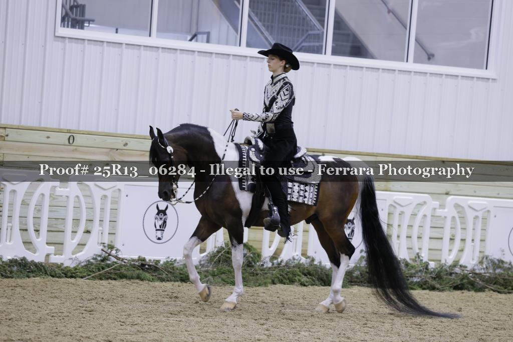 Proof Number 25R13_06284