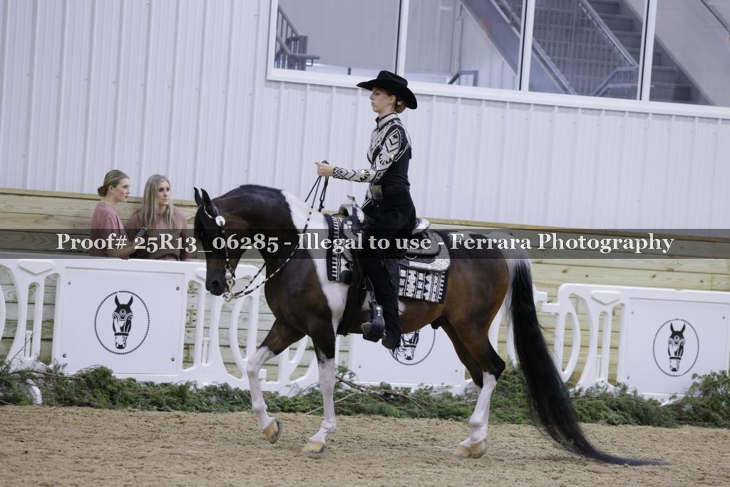 Proof Number 25R13_06285
