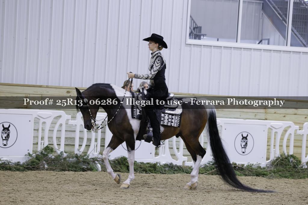 Proof Number 25R13_06286