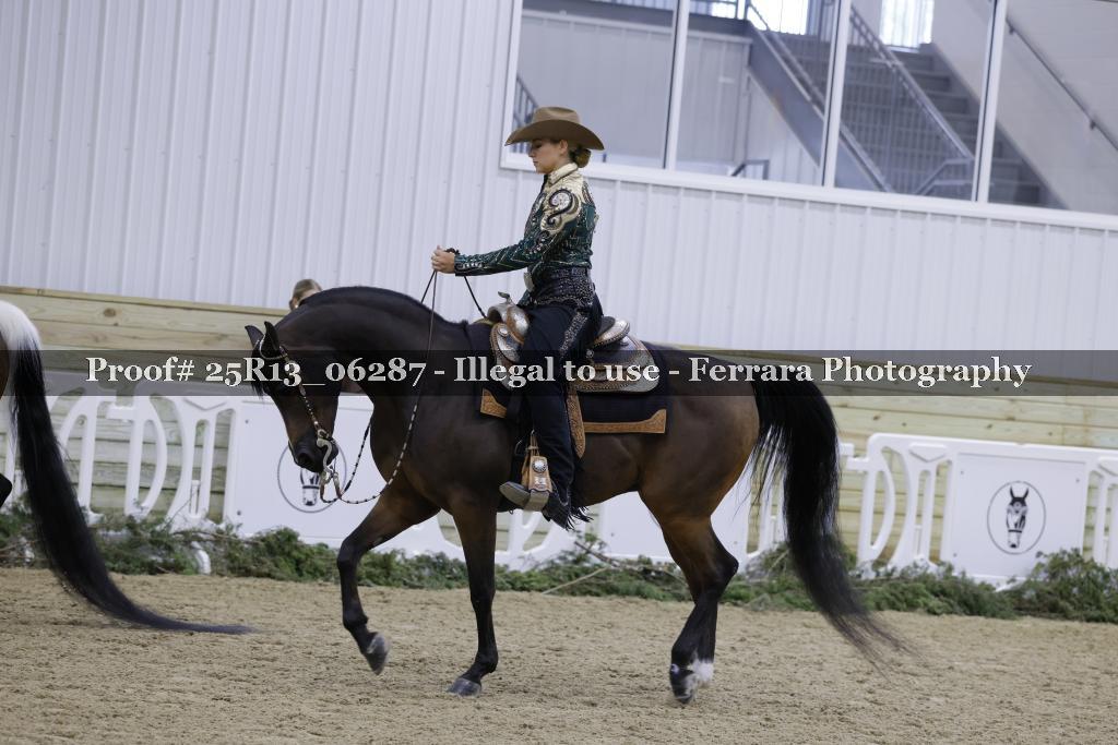 Proof Number 25R13_06287