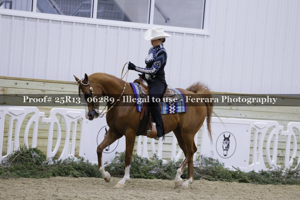 Proof Number 25R13_06289