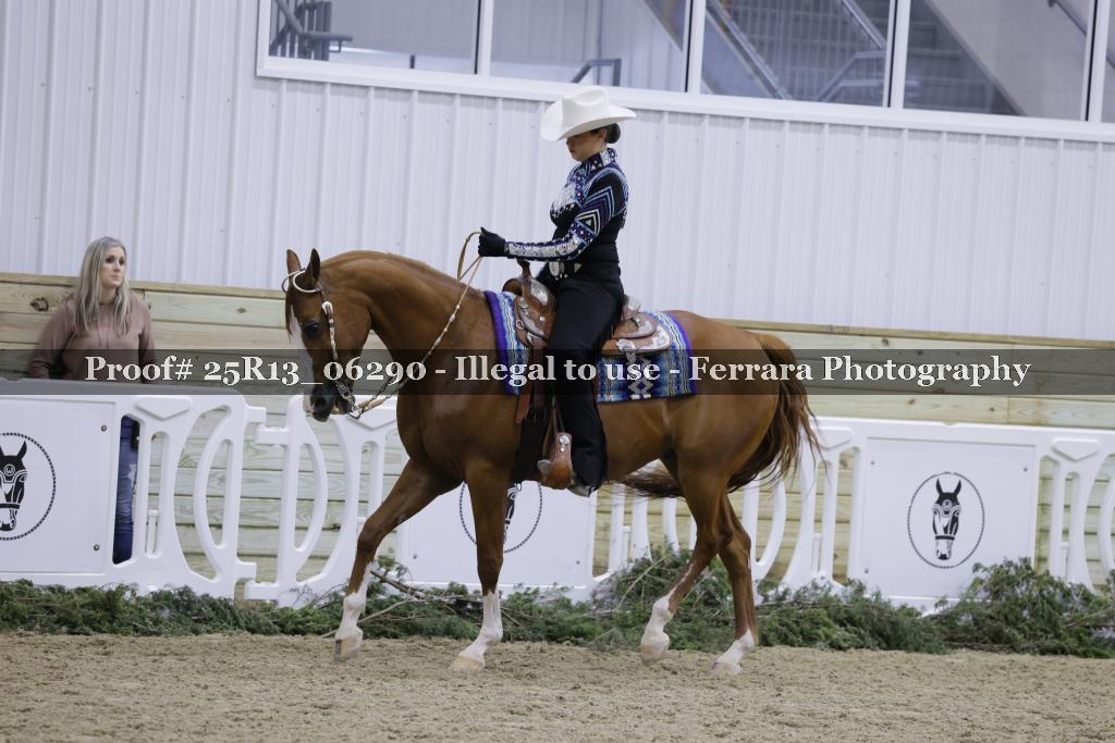 Proof Number 25R13_06290