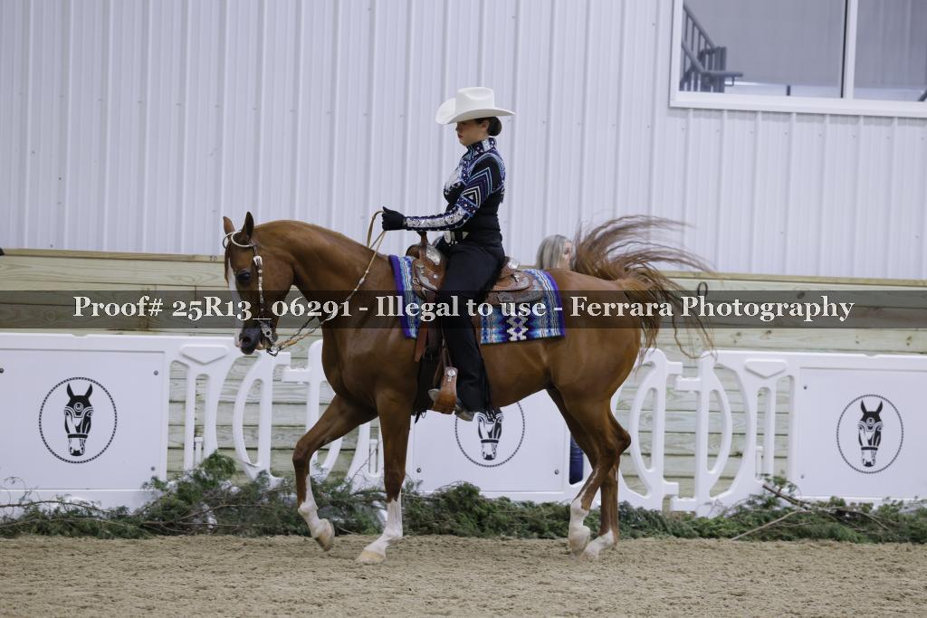 Proof Number 25R13_06291