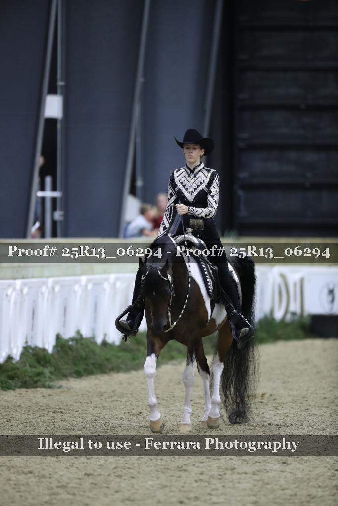 Proof Number 25R13_06294