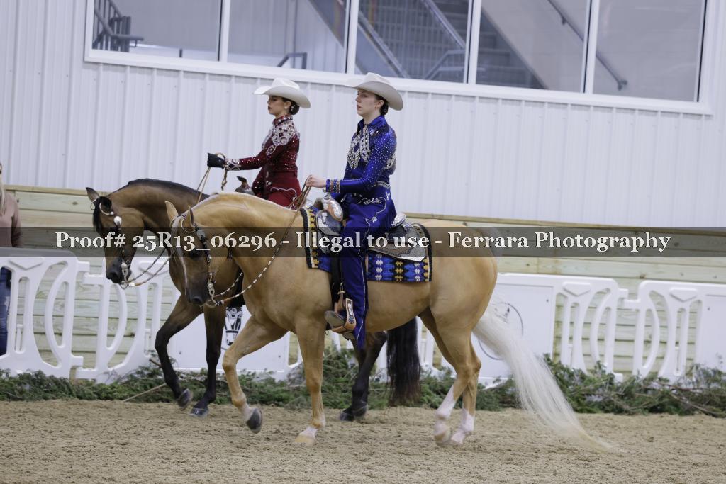 Proof Number 25R13_06296