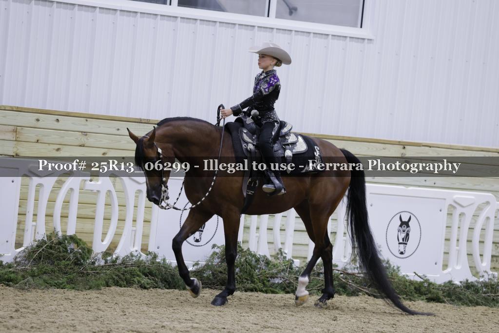 Proof Number 25R13_06299