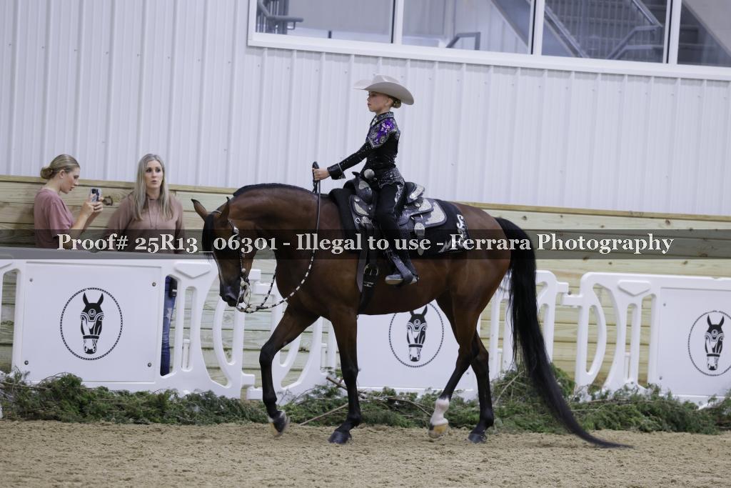 Proof Number 25R13_06301