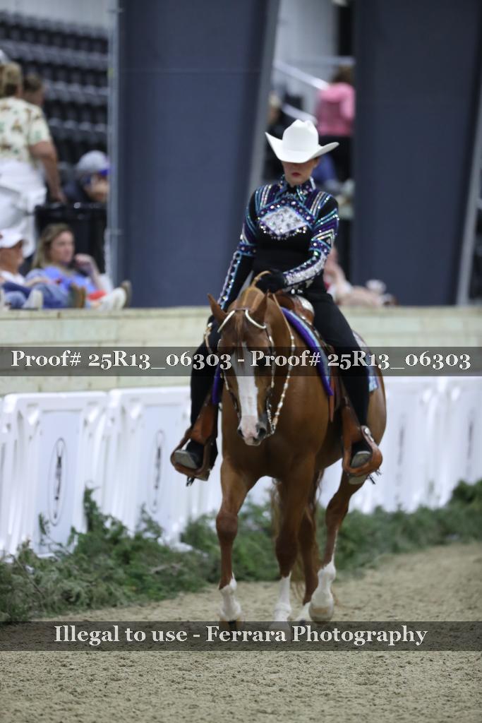 Proof Number 25R13_06303