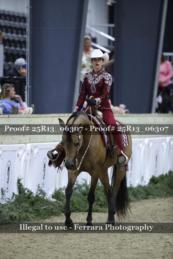 Proof Number 25R13_06307