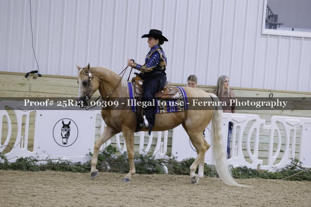 Proof Number 25R13_06309