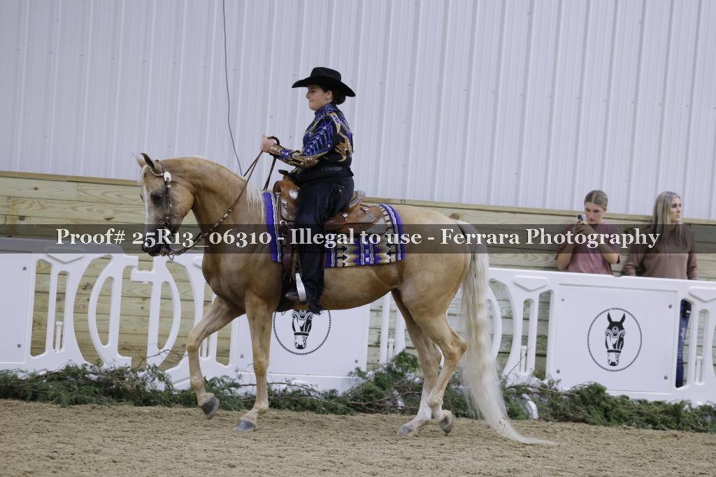 Proof Number 25R13_06310