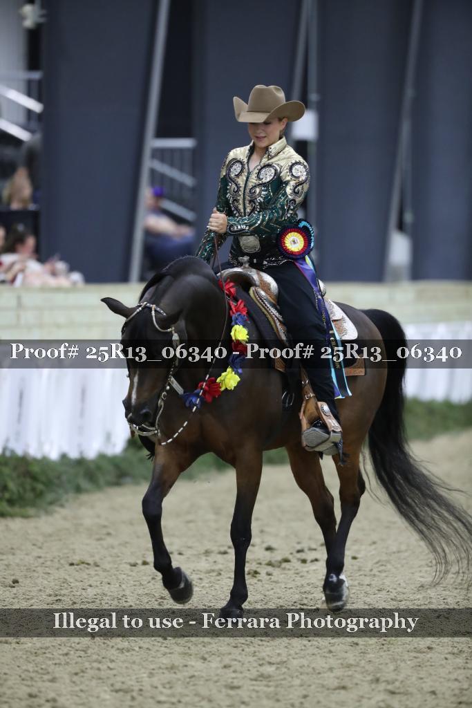 Proof Number 25R13_06340