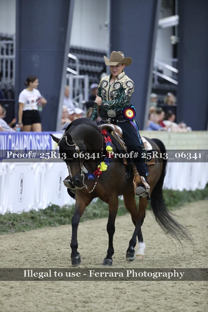 Proof Number 25R13_06341