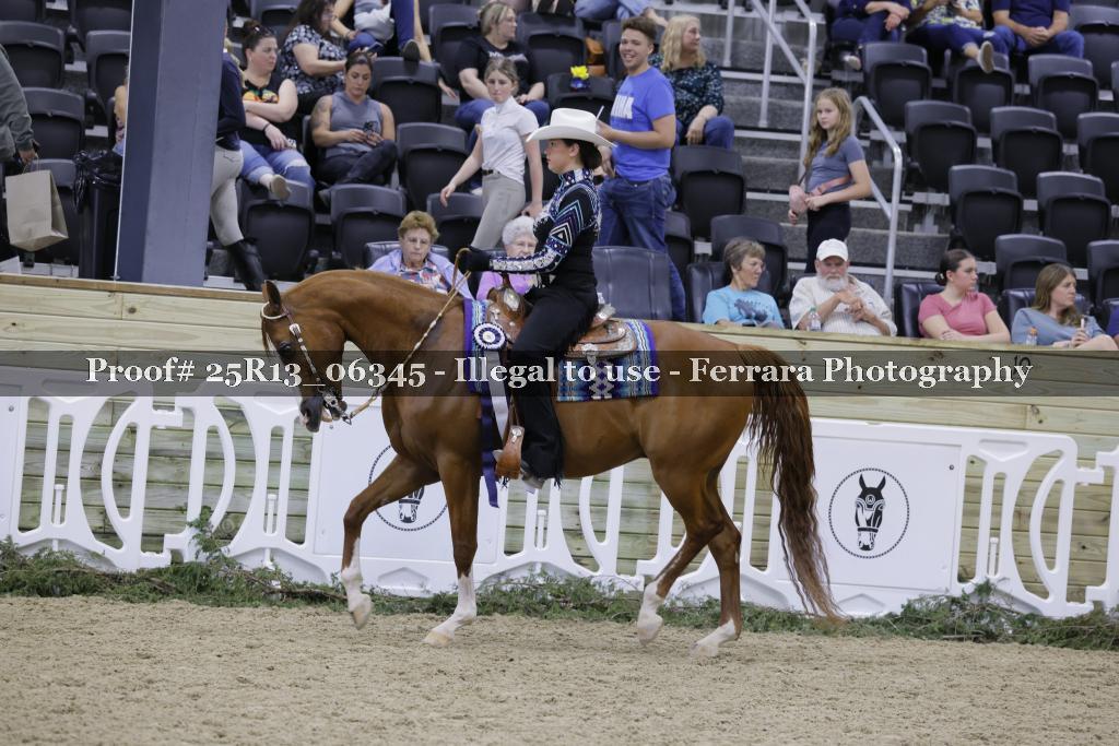 Proof Number 25R13_06345