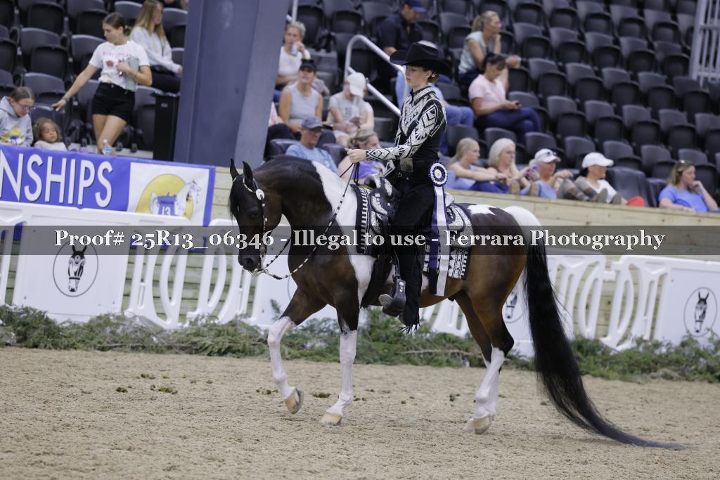 Proof Number 25R13_06346