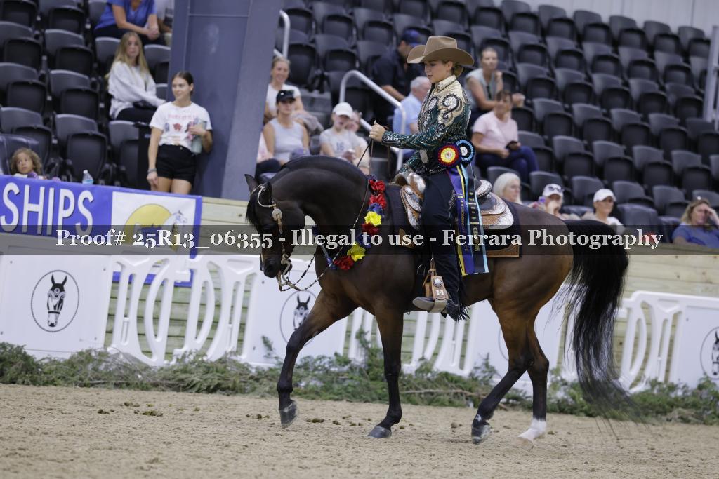 Proof Number 25R13_06355