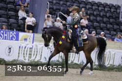 25R13_06355 thumbnail