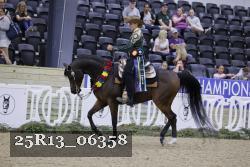 25R13_06358 thumbnail
