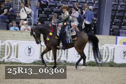25R13_06360 thumbnail