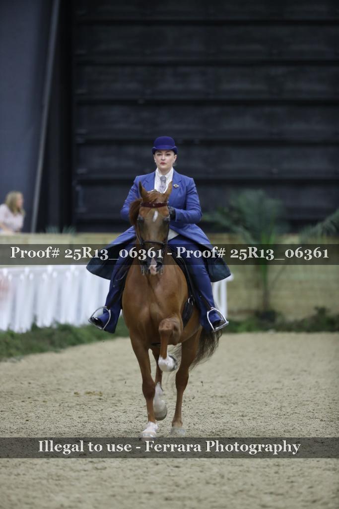Proof Number 25R13_06361