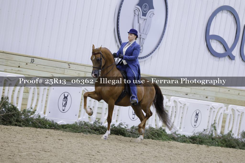 Proof Number 25R13_06362