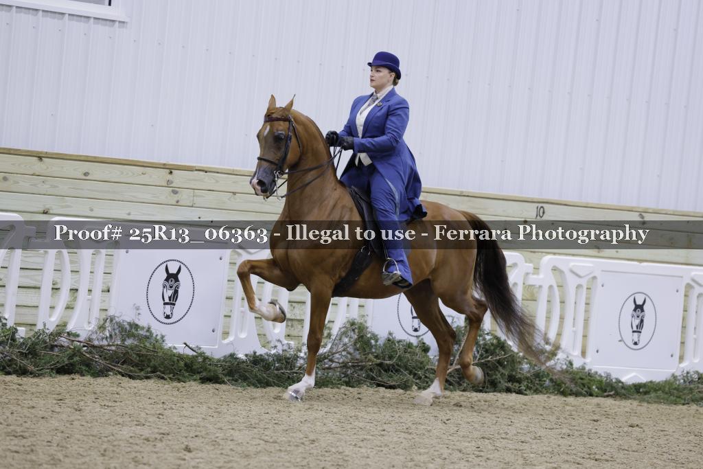 Proof Number 25R13_06363