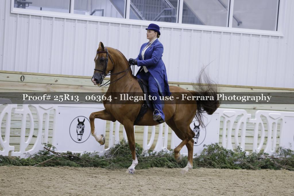 Proof Number 25R13_06364