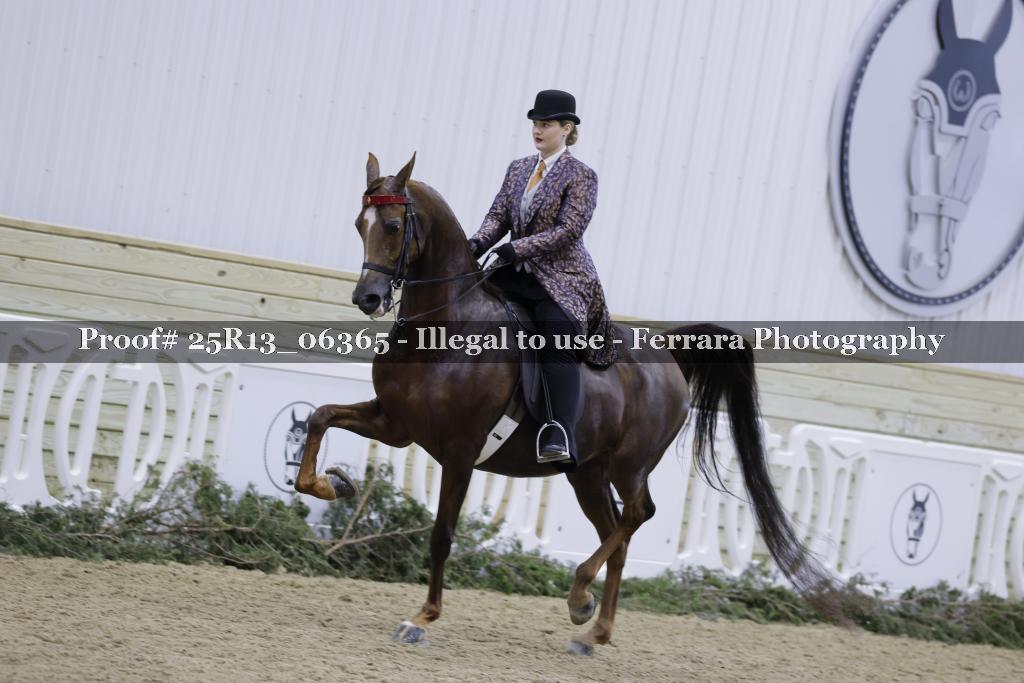 Proof Number 25R13_06365