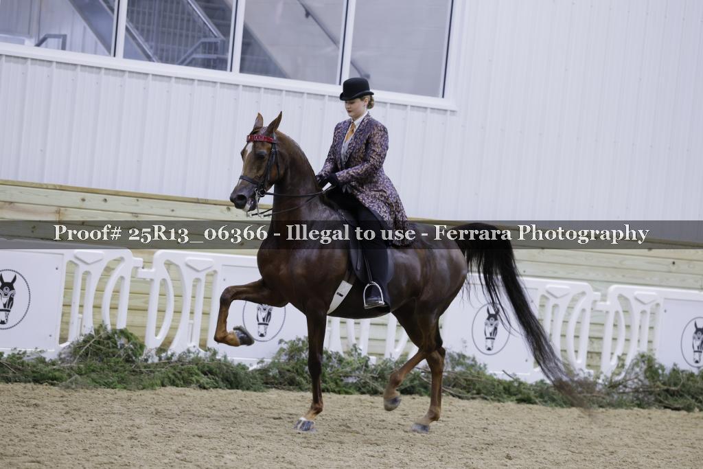 Proof Number 25R13_06366