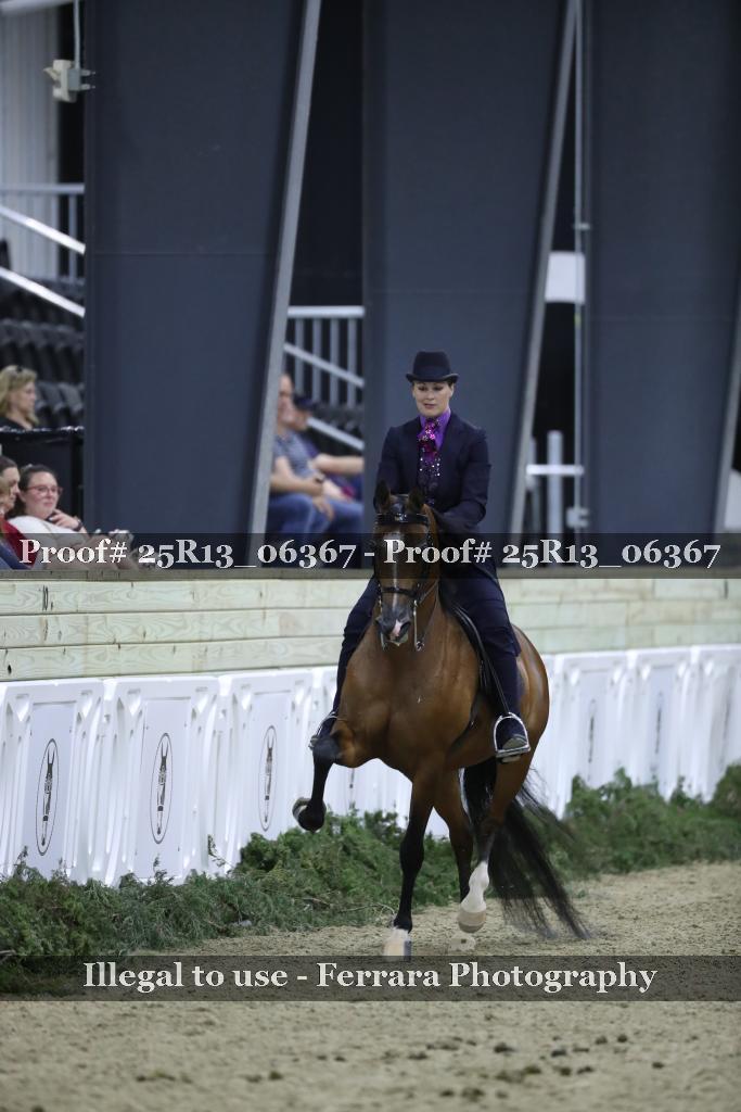 Proof Number 25R13_06367