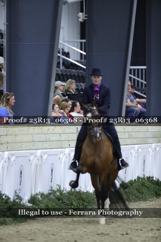 Proof Number 25R13_06368