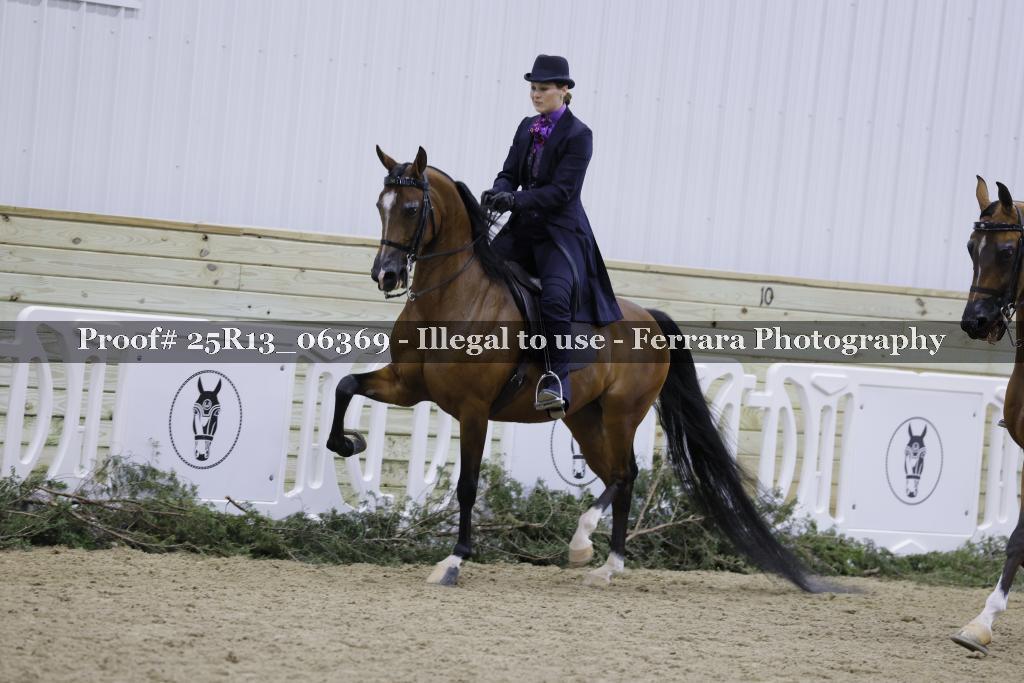 Proof Number 25R13_06369