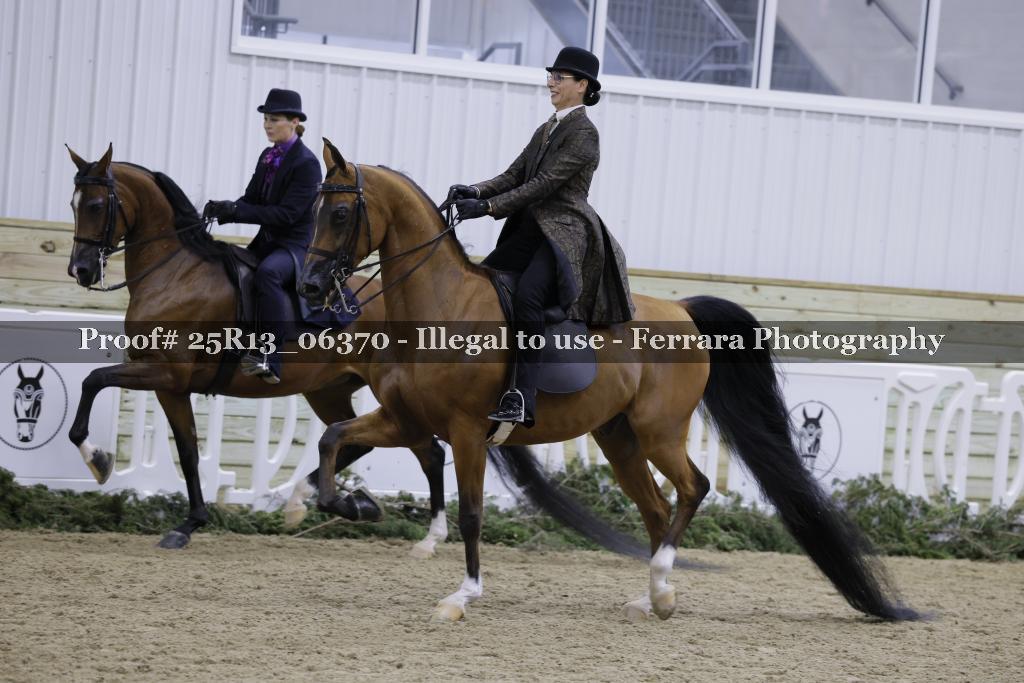 Proof Number 25R13_06370