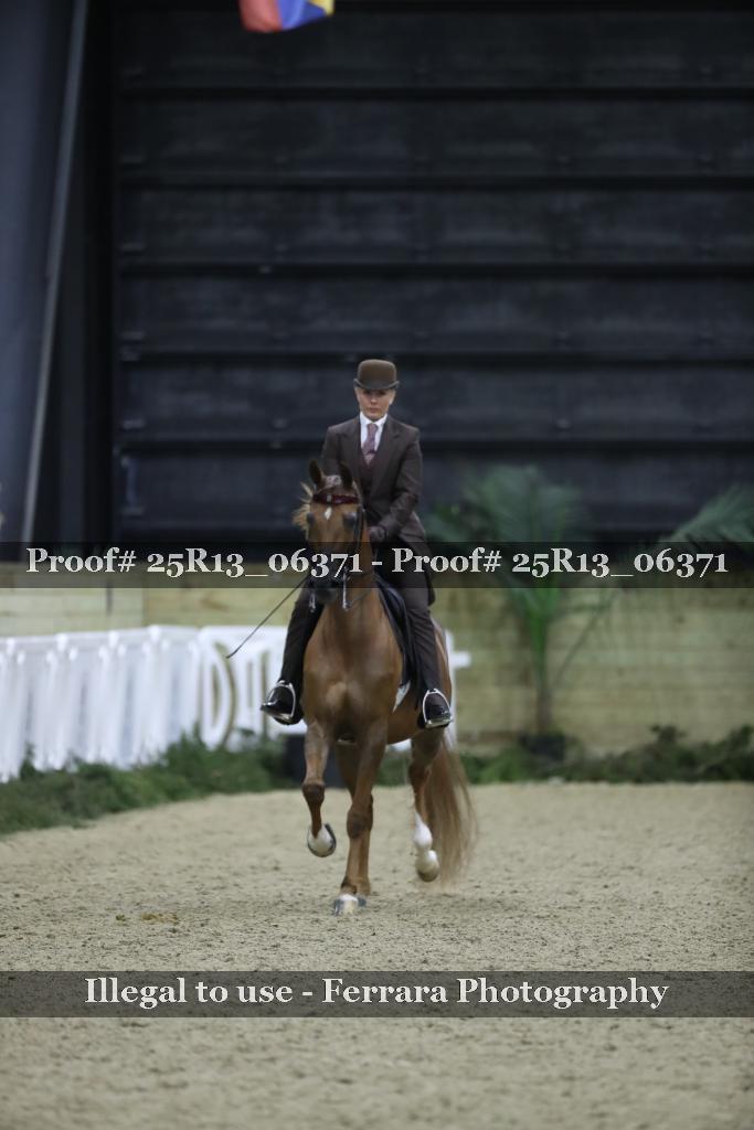 Proof Number 25R13_06371