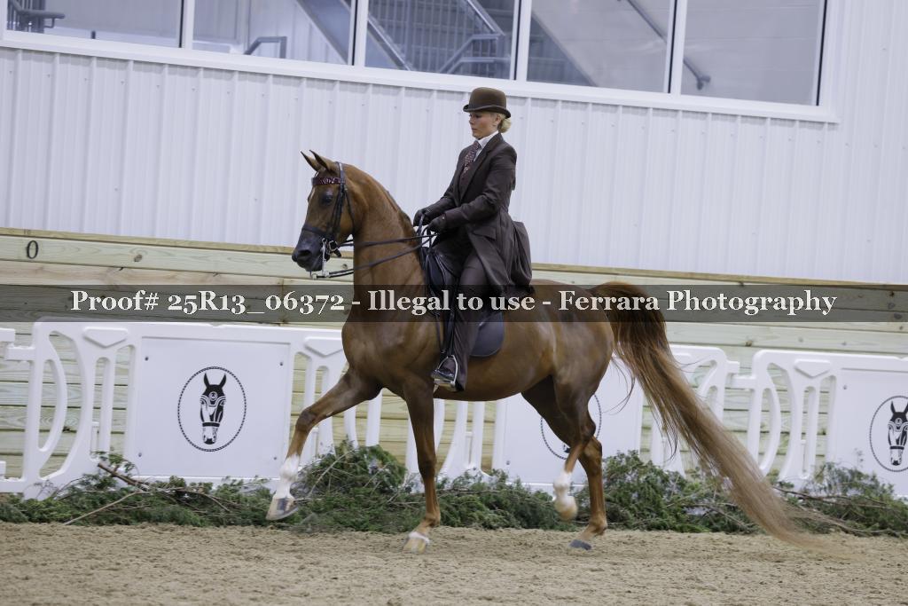 Proof Number 25R13_06372