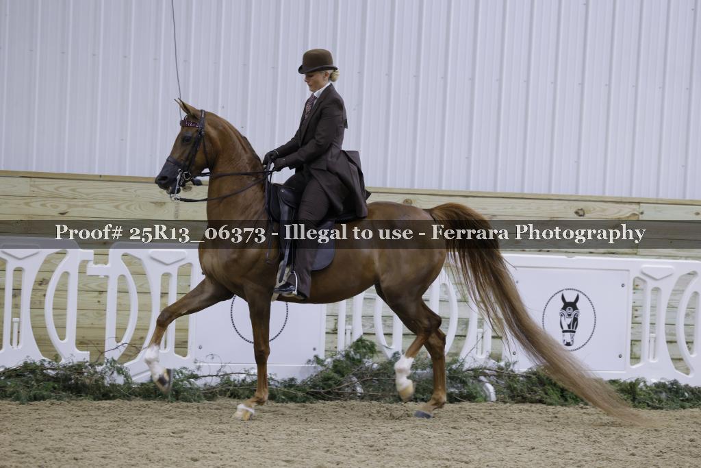 Proof Number 25R13_06373