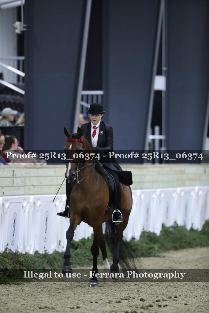 Proof Number 25R13_06374