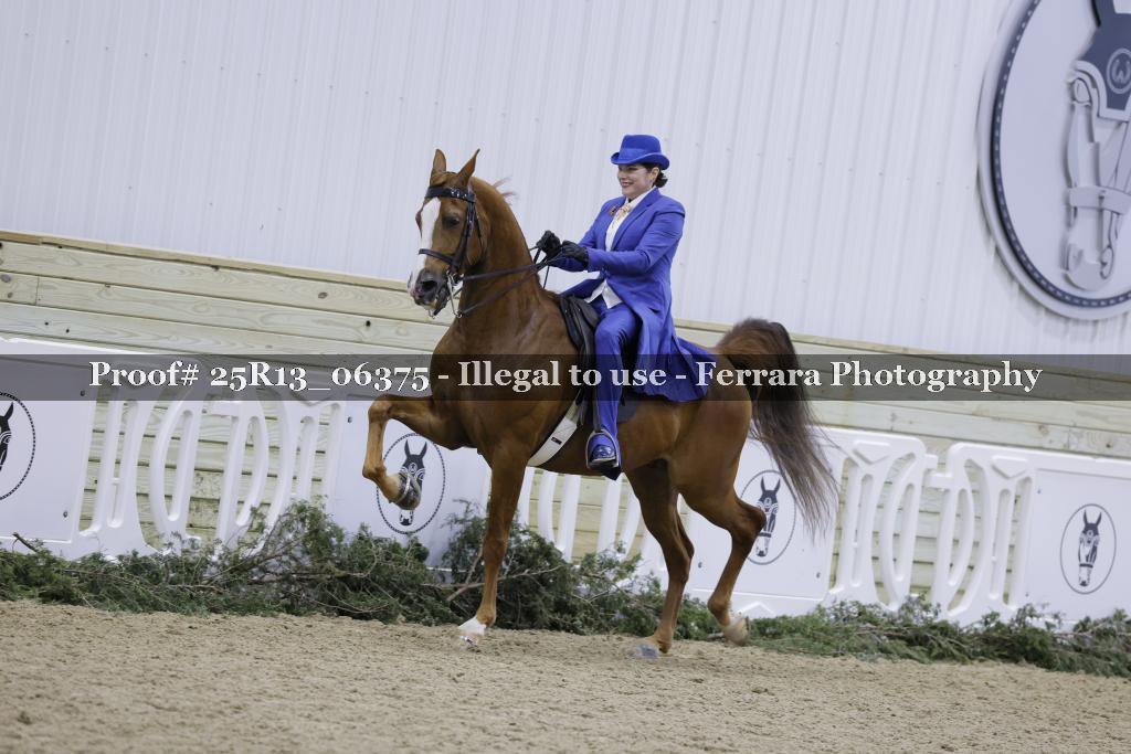 Proof Number 25R13_06375