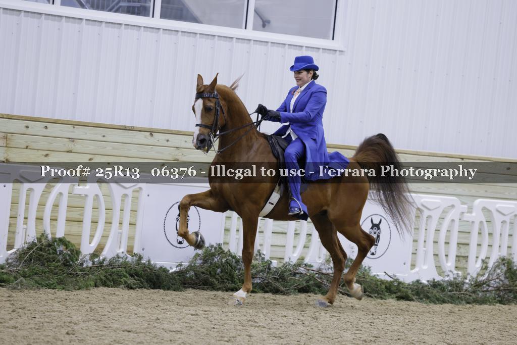 Proof Number 25R13_06376