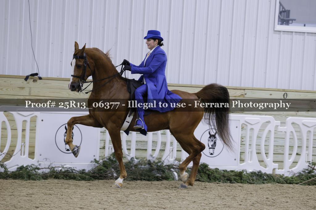 Proof Number 25R13_06377