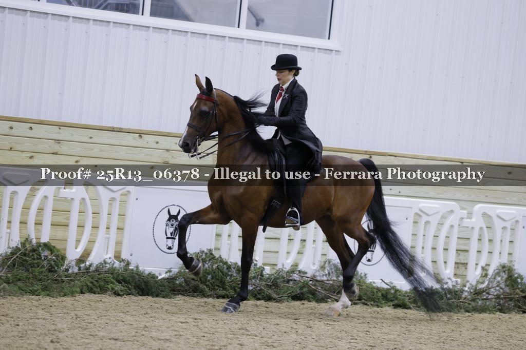 Proof Number 25R13_06378