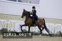 25R13_06378 thumbnail